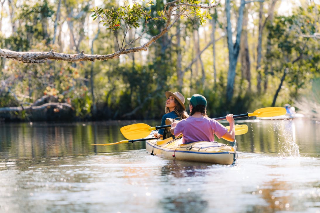 Kayaking on the Noosa Everglades